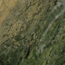 Irish Connemarble Green