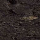Forest Black
